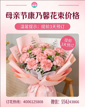 鹤壁淇滨区花店母亲节康乃馨花束