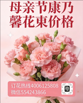 鹤壁淇滨区花店母亲节康乃馨花束